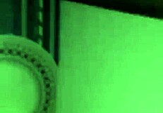 Taiwanese Beauty in Wild Action