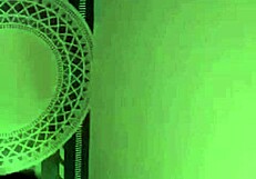 Taiwanese Beauty in Wild Action