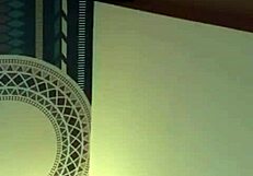 Taiwanese Beauty in Wild Action