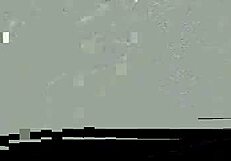 you make a pretty cute boy