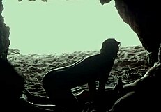Yo, sneaking a quickie at the beach inside a hidden cave! 🏖️