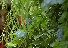 Public blowjob on hairy latina pussy