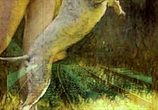 i admire vintage erotic illustration