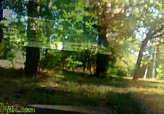 Ebony esmeralda compilation