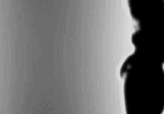 hey, how do i cum for just 50 euro with swhores?