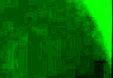 amateur compilation of teen colombian doggystyle