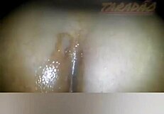 Black latina amateur deepthroats greedy cock, banging with saggy tits and anal action in blowbang