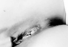 The sexy woman tells her partner to fuck me now