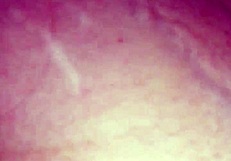 Wife Enjoys Amateur Milf Activities at Home