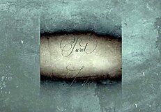 Damn! Vintage Porn World Shows Hairy Pussy Galore!