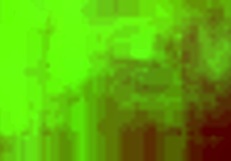 Savage in the action scene