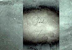 vintage collection of retro erotic stories