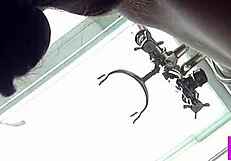 Shyla Jennings And Jenna Sativa Lick Pussies