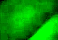 Who sucks cock better in Gauteng