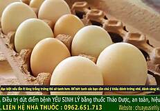 Ancient King's Secret To Cure Male Impotence