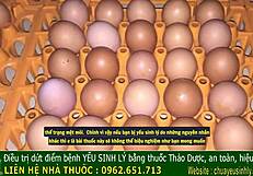 Ancient King's Secret To Cure Male Impotence