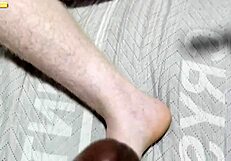 Vejo minha gata se exibindo para outro macho