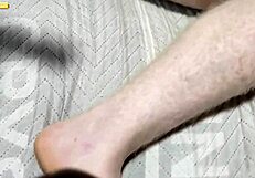 Vejo minha gata se exibindo para outro macho