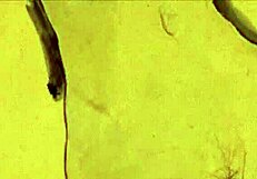 exploring vintage art in retro cartoon style from antique collections