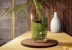 Handling a naughty cat