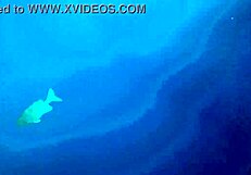 naughty milf mariaold flashes huge natural tits and shaved pussy outdoors