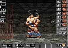 final fight adult gallery showcasing asian japanese anime.