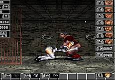 final fight adult gallery showcasing asian japanese anime.