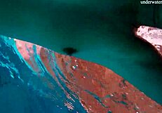 Horny Teen Strips Fast To Reveal Tight Sexy Body In Public!