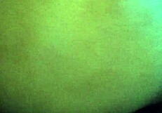 Quarantine Turns Oily Horny Brownie Into A Teasing Ass Adventure - Or Is It Just Lonely Fun?