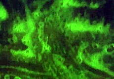 Mzkiwi experiences anal in the shower