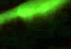 Intensely adoring wife's ebony ass