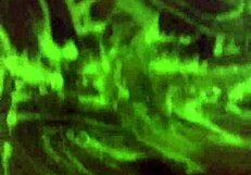 Mzkiwi experiences anal in the shower