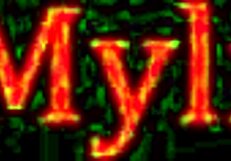 your yoga session includes some girl on girl instruction