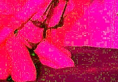 lazycatdoll - try my new lingerie, wanna join for a quickie?