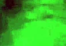 Relaxing by the motel pool with a pretty companion