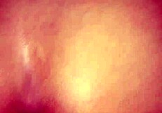 Doggy Style Pov With Bent Over Big Ass Creampie