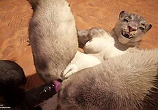 ชีวิตป่าเถื่อน เฮนไตฟูร์รี่ปล่อยเซ็กส์ก้นดิบๆ ในสไตล์อนิเมะ