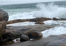 Exploring a deserted trail with friends