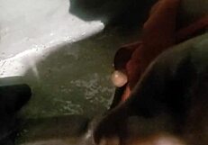 Verification video part one