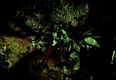 Detailed Vintage Erotic Cartoon Illustrations From Antique Anime Hentai Collections