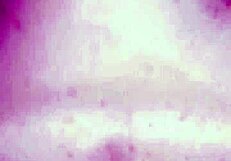 Big Cock Fucks Ass Close Up