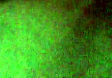 Amateur slut licks ass in homemade rimjob