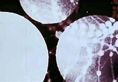 Vintage Bizarre Antique Collection!