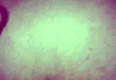 Bold Taboo Family Fantasy Liv Wild Paisley Bennett Tyler Nixon