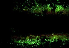 Look at this hot babe with gorgeous ass getting fucked hard!