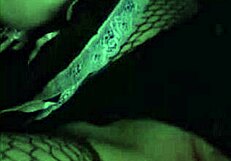 Amateur model joyliii shares nudes with lucky stranger.