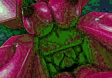 Enjoying Wild Sex with My Demon Girlfriend on Valentine's Roblox