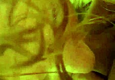 Roxanne And Xander Feel The Slutty Thrill Of Sucking Amateur Cocks Passionately At Home