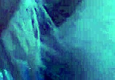 Does This Latina Really Love Sucking Cock?