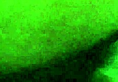 Close up of a big cock fucking a Latina pussy